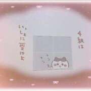 ヒメ日記 2026/08/12 22:56 投稿 もも 上大岡しこたまクリニック
