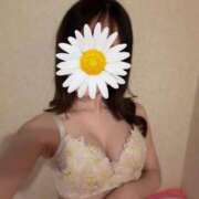 あかり これからまた楽しみが ルネッサンス