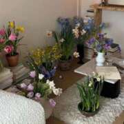 ヒメ日記 2026/05/15 18:03 投稿 八神　いつき プルプル倶楽部 札幌すすきの店