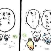 ヒメ日記 2026/05/19 01:33 投稿 八神　いつき プルプル倶楽部 札幌すすきの店