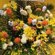ヒメ日記 2026/05/22 01:33 投稿 八神　いつき プルプル倶楽部 札幌すすきの店