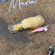 ヒメ日記 2026/09/13 10:52 投稿 Maria女王様 ROSE（金沢）