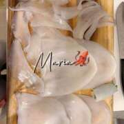 ヒメ日記 2026/09/27 11:22 投稿 Maria女王様 ROSE（金沢）