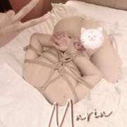 ヒメ日記 2026/09/30 08:32 投稿 Maria女王様 ROSE（金沢）