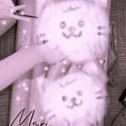 ヒメ日記 2026/10/06 09:02 投稿 Maria女王様 ROSE（金沢）