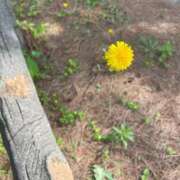 ヒメ日記 2026/06/29 09:27 投稿 あおい ViVi-ヴィヴィ-(金津園)