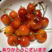 ヒメ日記 2026/06/28 09:44 投稿 城田ようこ 五十路マダム 新潟店(カサブランカグループ)