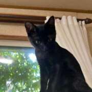 ヒメ日記 2026/08/12 09:40 投稿 城田ようこ 五十路マダム 新潟店(カサブランカグループ)