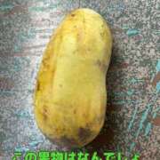 ヒメ日記 2026/09/24 20:02 投稿 城田ようこ 五十路マダム 新潟店(カサブランカグループ)
