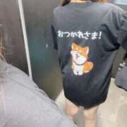 ヒメ日記 2026/09/05 12:20 投稿 めい 人妻の輝き(大阪)