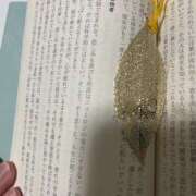 ヒメ日記 2026/06/10 05:30 投稿 神崎　しずく YOKOHAMA FIVESTAR（横浜ファイブスター）