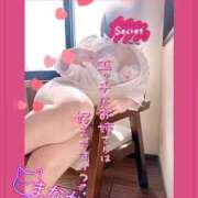 ヒメ日記 2026/09/16 07:08 投稿 まなか Salon du M-えっちなお姉さんのM性感デリバリー-五反田店