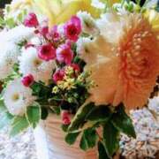 ヒメ日記 2026/05/01 22:07 投稿 めぐみ あとりえ(ATELIER)