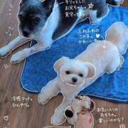 ヒメ日記 2026/06/14 20:09 投稿 めぐみ あとりえ(ATELIER)