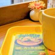 ヒメ日記 2026/06/15 12:16 投稿 めぐみ あとりえ(ATELIER)