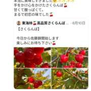 ヒメ日記 2026/06/27 11:40 投稿 めぐみ あとりえ(ATELIER)