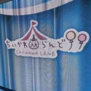 ヒメ日記 2026/06/28 13:39 投稿 めぐみ あとりえ(ATELIER)