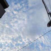 ヒメ日記 2026/07/21 05:34 投稿 めぐみ あとりえ(ATELIER)