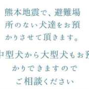 ヒメ日記 2026/07/30 07:01 投稿 めぐみ あとりえ(ATELIER)