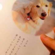 ヒメ日記 2026/08/02 18:46 投稿 めぐみ あとりえ(ATELIER)