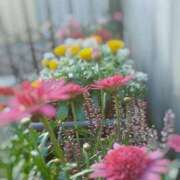 ヒメ日記 2026/09/11 16:21 投稿 めぐみ あとりえ(ATELIER)