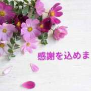 ヒメ日記 2026/09/16 10:05 投稿 めぐみ あとりえ(ATELIER)
