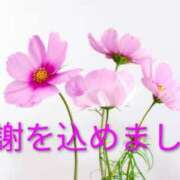 ヒメ日記 2026/09/16 16:53 投稿 めぐみ あとりえ(ATELIER)