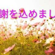 ヒメ日記 2026/09/19 16:35 投稿 めぐみ あとりえ(ATELIER)