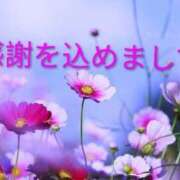 ヒメ日記 2026/09/19 16:46 投稿 めぐみ あとりえ(ATELIER)