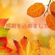 ヒメ日記 2026/10/12 14:57 投稿 めぐみ あとりえ(ATELIER)