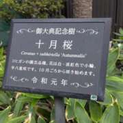 ヒメ日記 2026/10/13 12:47 投稿 めぐみ あとりえ(ATELIER)