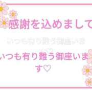 ヒメ日記 2026/10/17 16:24 投稿 めぐみ あとりえ(ATELIER)