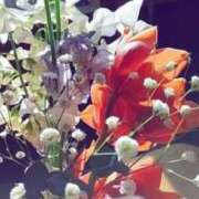 ヒメ日記 2026/10/19 12:01 投稿 めぐみ あとりえ(ATELIER)