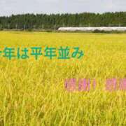 ヒメ日記 2026/10/22 14:01 投稿 めぐみ あとりえ(ATELIER)