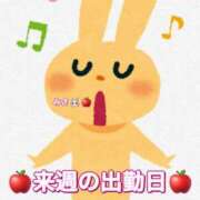 ヒメ日記 2026/05/14 16:19 投稿 みさ 横浜人妻花壇本店
