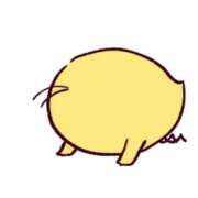 ヒメ日記 2026/09/28 11:42 投稿 ことり ジャパンクラブ富士