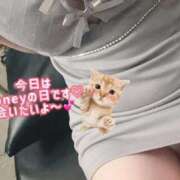 ヒメ日記 2026/08/12 08:34 投稿 はる Honey