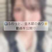 ヒメ日記 2026/09/19 03:09 投稿 成瀬えな ザイオン 会員制アロマエステ