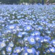 鳴宮つばさ はじめまして 西船橋快楽Ｍ性感倶楽部～前立腺マッサージ専門～