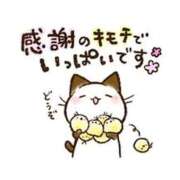 ヒメ日記 2026/05/03 16:55 投稿 ゆずか 熟女家 東大阪店（布施・長田）