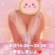 ヒメ日記 2026/06/25 13:31 投稿 かおり ふぞろいの人妻たち