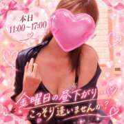 ヒメ日記 2026/09/11 10:31 投稿 かおり ふぞろいの人妻たち