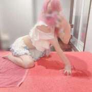 ヒメ日記 2026/07/16 10:20 投稿 まろんちゃん buzz-B