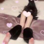 せり 🈵🙏🏻💞 京都BOOK MARK（ブックマーク）