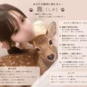 ヒメ日記 2026/09/21 07:45 投稿 『ひなみ』 ESSENCE