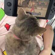 ヒメ日記 2026/05/13 21:50 投稿 りり ドリーム水戸