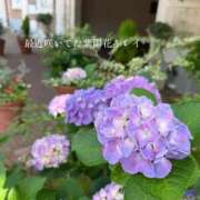 ヒメ日記 2026/06/09 08:22 投稿 愛空みらん　光輝き続る超逸材美女 ROYAL FACE
