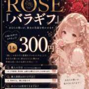 愛空みらん　光輝き続る超逸材美女 バラギフ🌹 ROYAL FACE