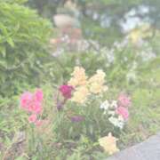 ヒメ日記 2026/05/09 17:42 投稿 みらい【性感】 性感エステBianca豊中店