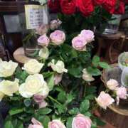 ヒメ日記 2026/05/06 14:19 投稿 あやめ 熟女パラダイス鶯谷店(カサブランカグループ)